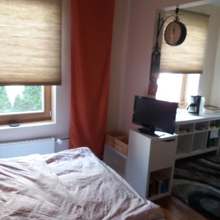 Pensionszimmer Luetzowzimmer Λίμπεκ Εξωτερικό φωτογραφία